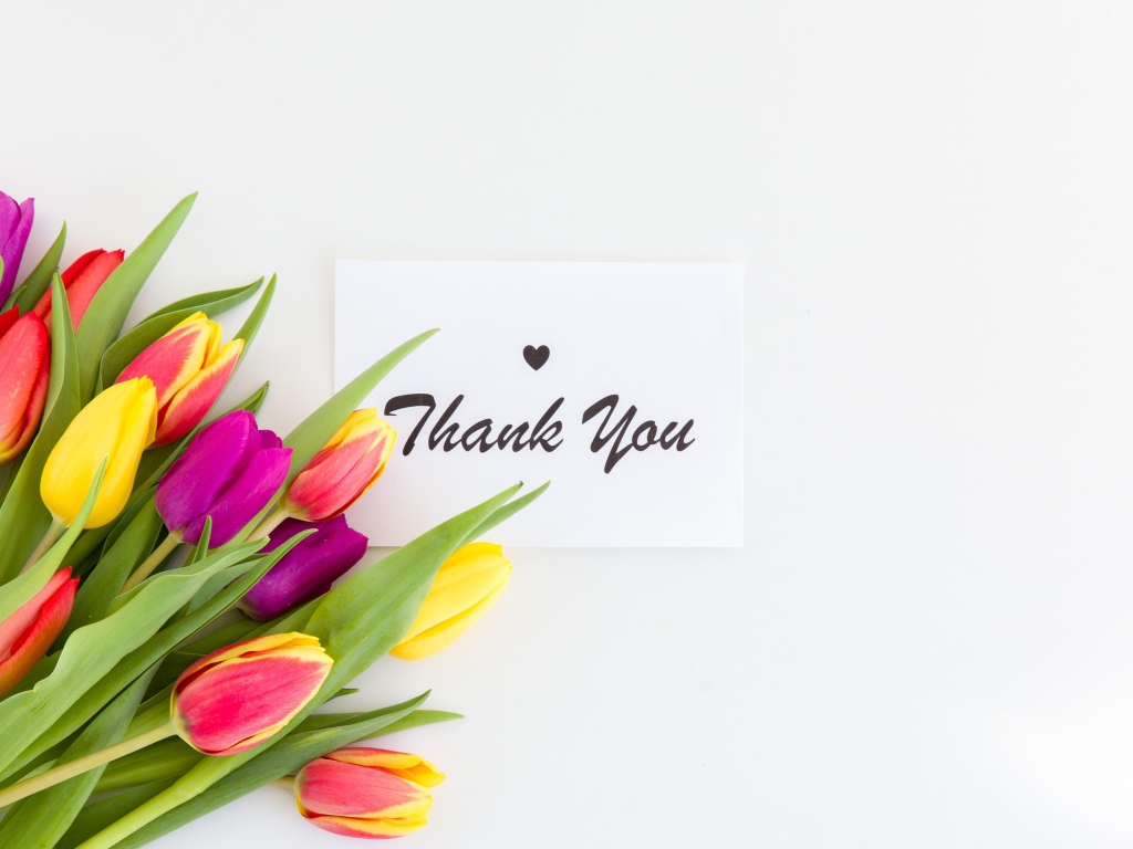 Bouquet of multi-colored tulips and the inscription thank you on a white background