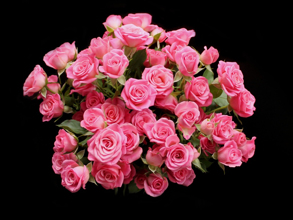 Букет розовых роз на черном фоне