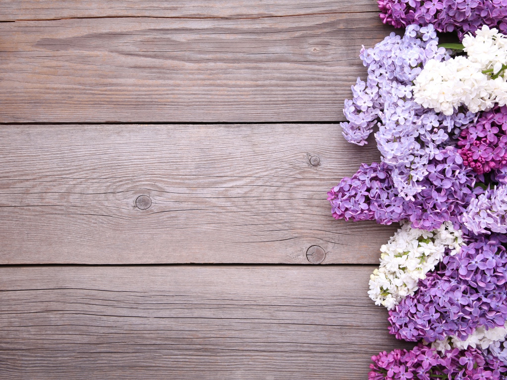 Разноцветные цветы сирени на деревянном фоне