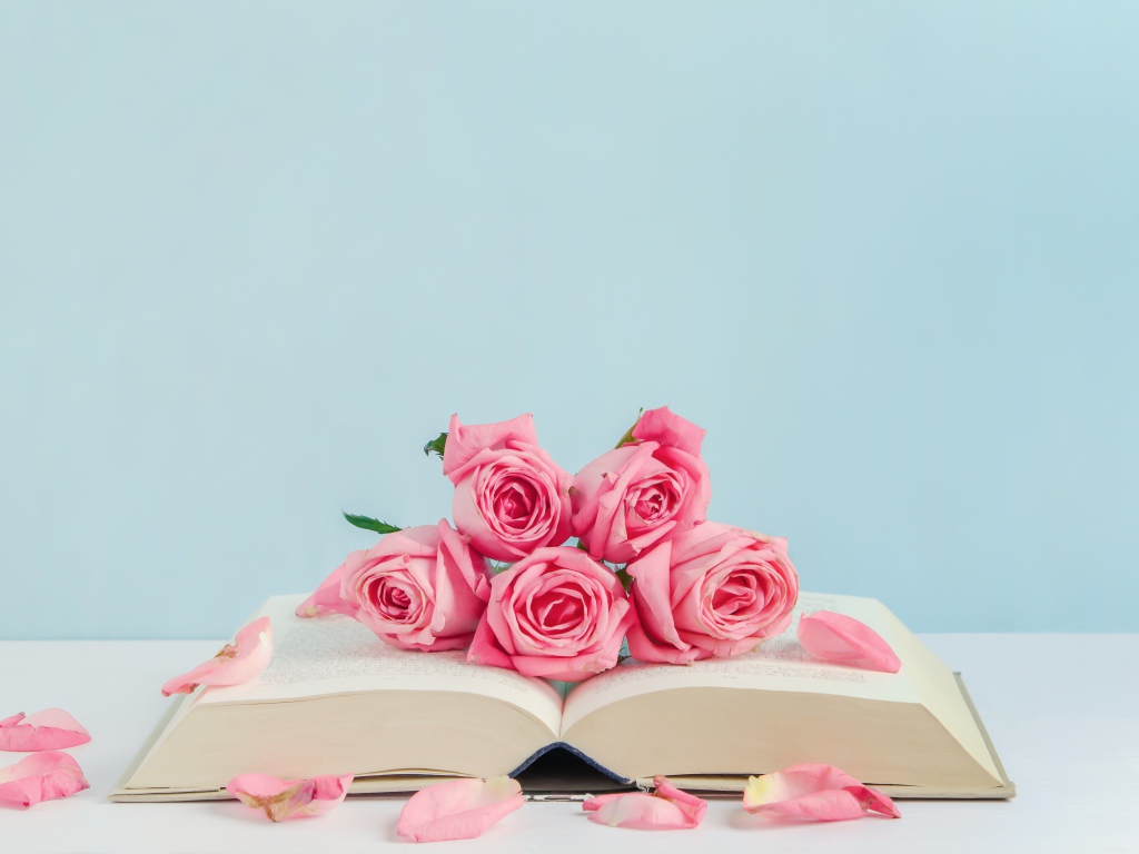 Розовые цветы розы с книгой на голубом фоне