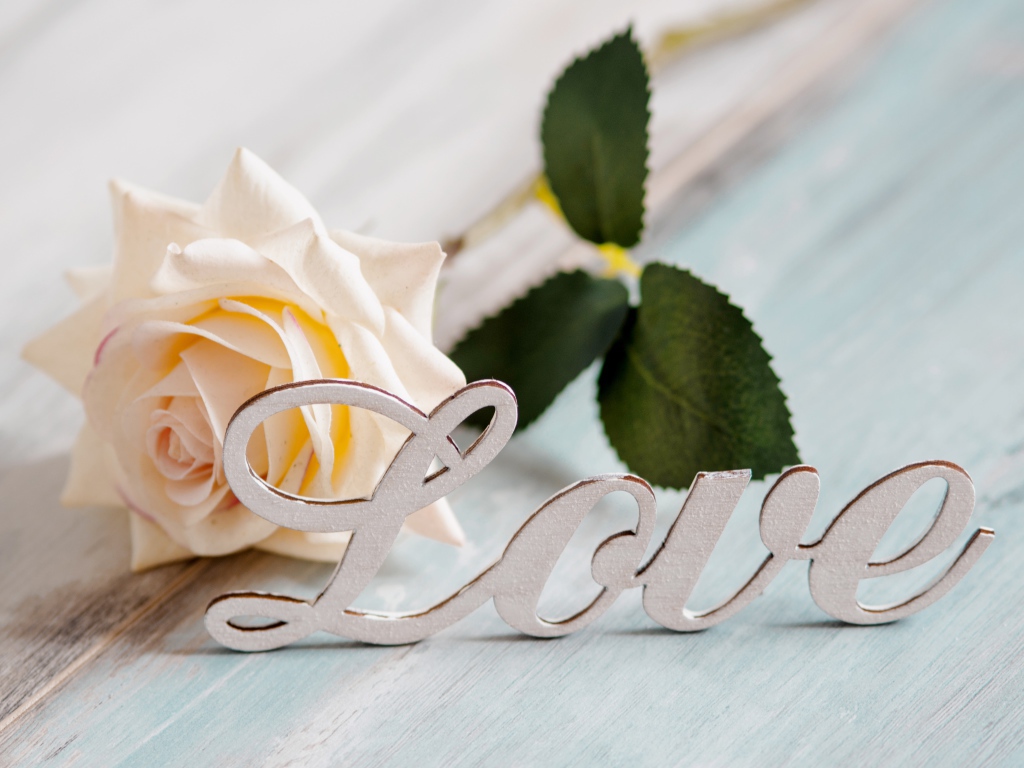 Белая надпись любовь на английском с белой розой