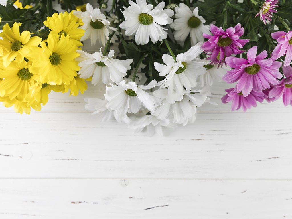 Желтые, белые и розовые хризантемы на белом деревянном столе