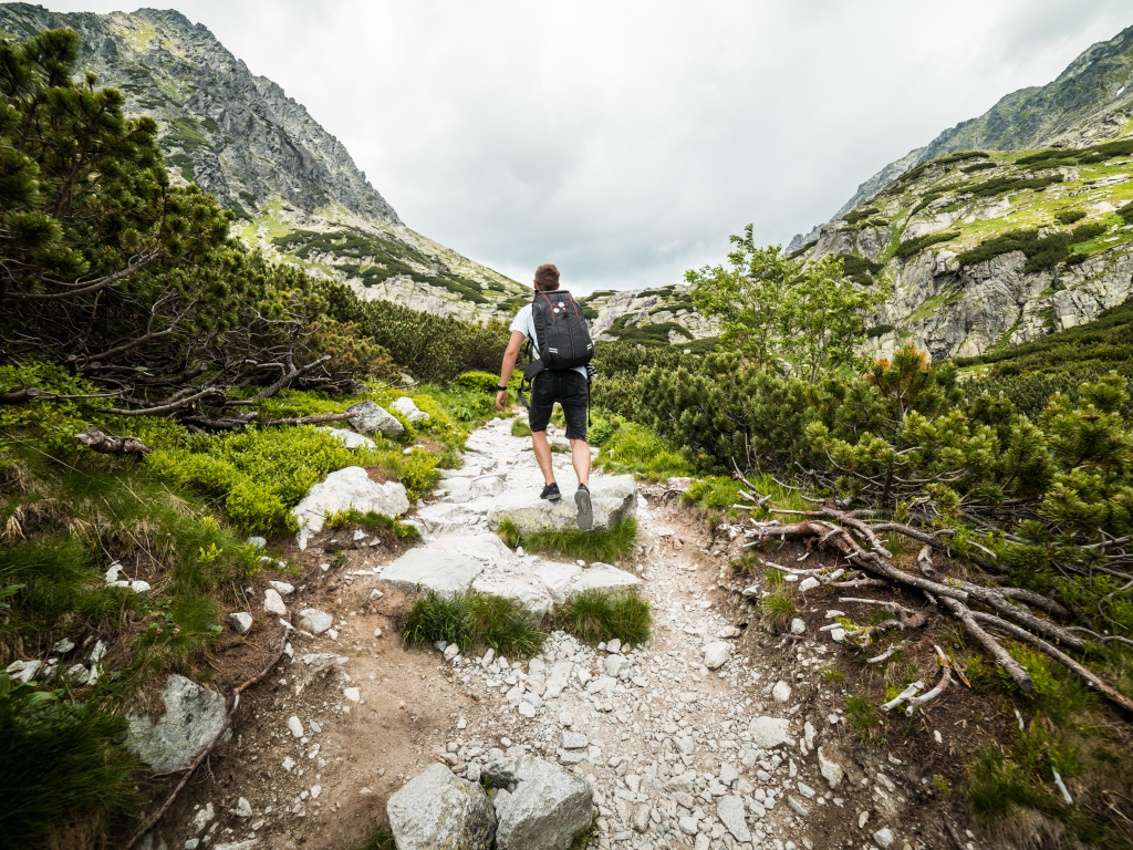 Мужчина с рюкзаком поднимается в горы 