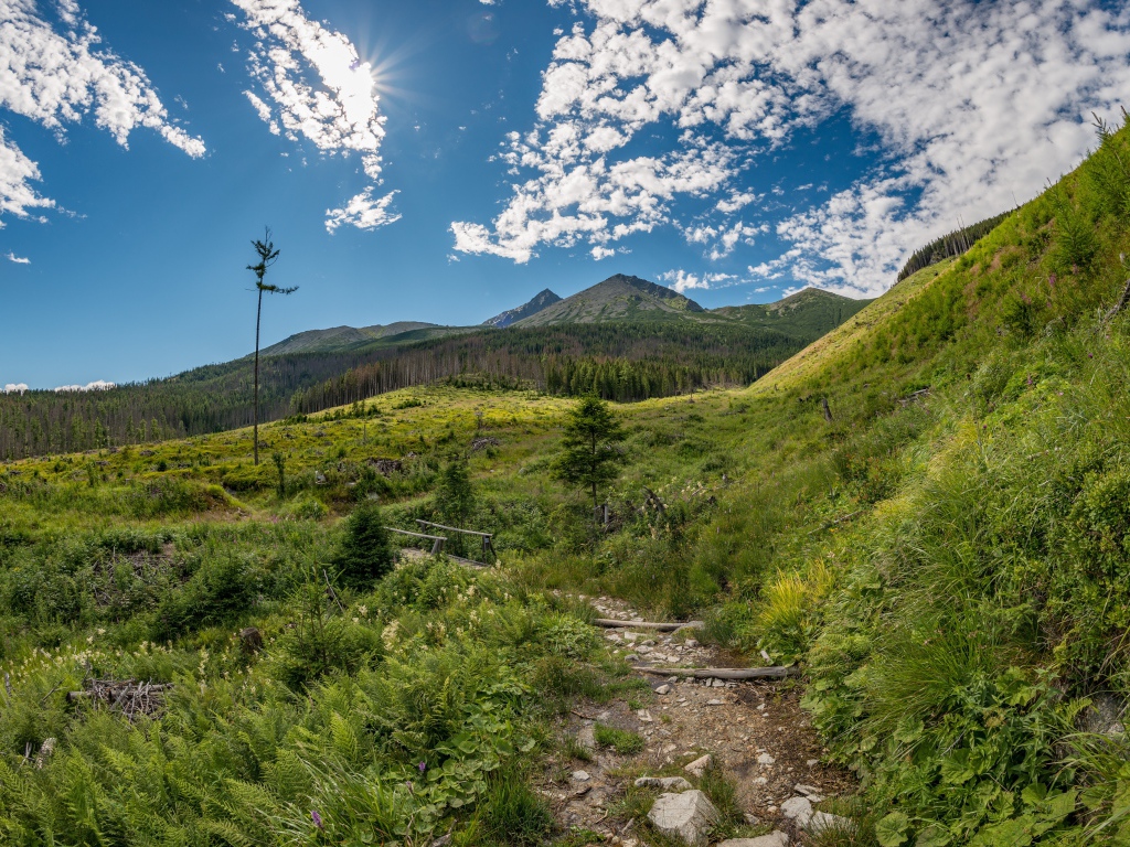 Красивая зеленая природа у гор под голубым небом