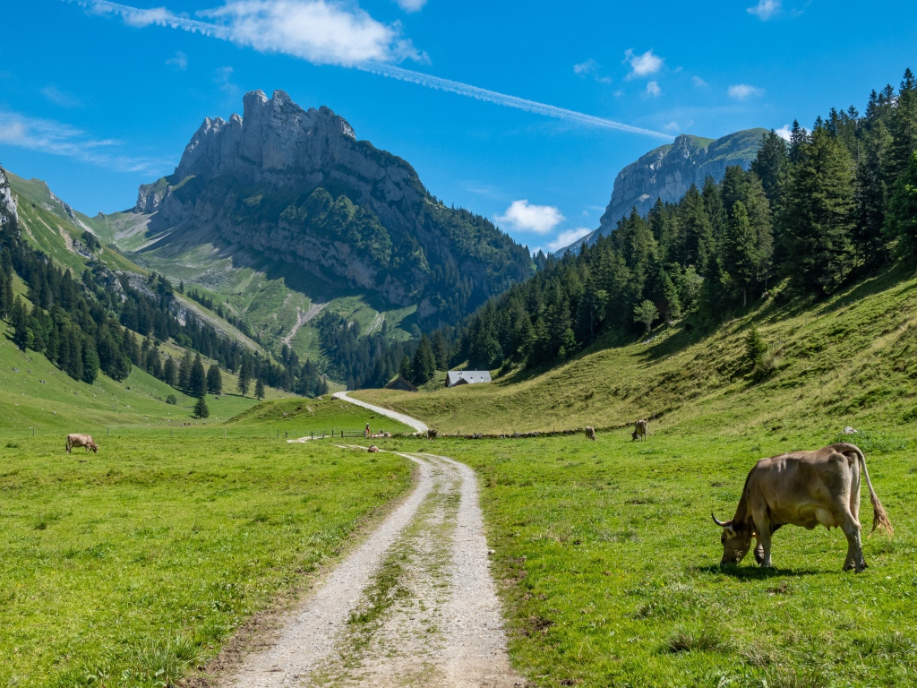 Красивый вид на гору под голубым небом летом 
