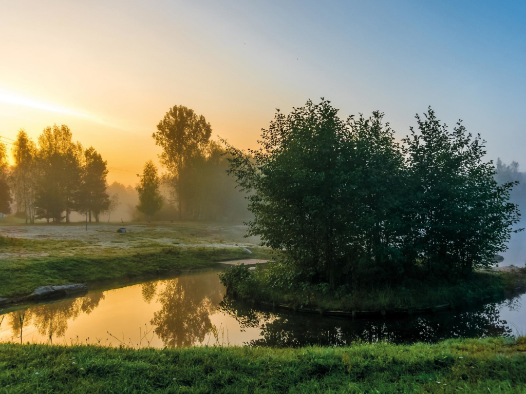 Деревья на островке на реке утром