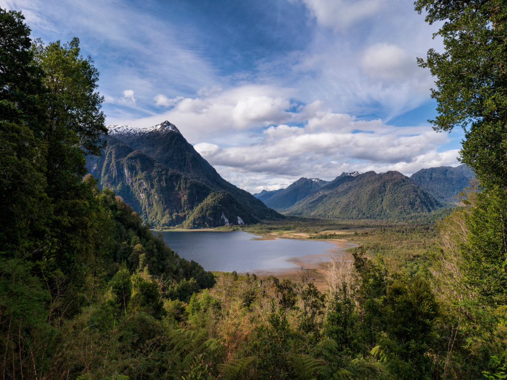 Озеро у гор в зеленых зарослях 