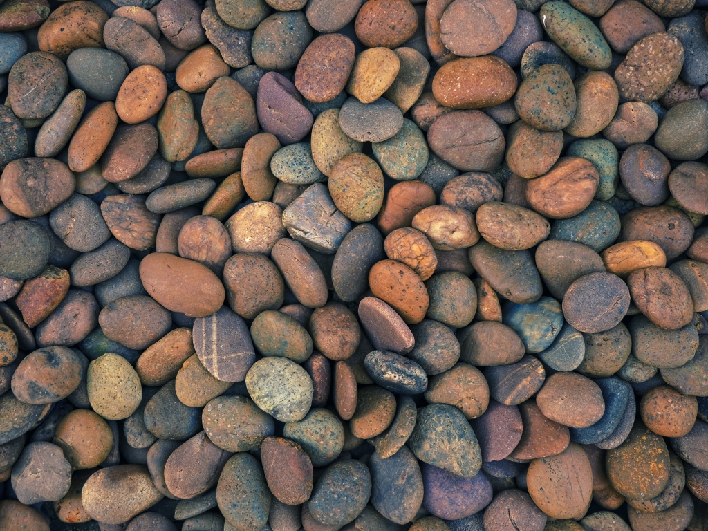 Many small sea stones close up