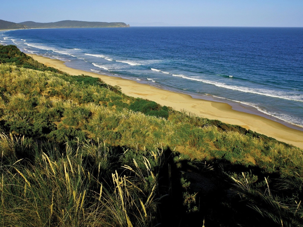Вид на морское побережье 