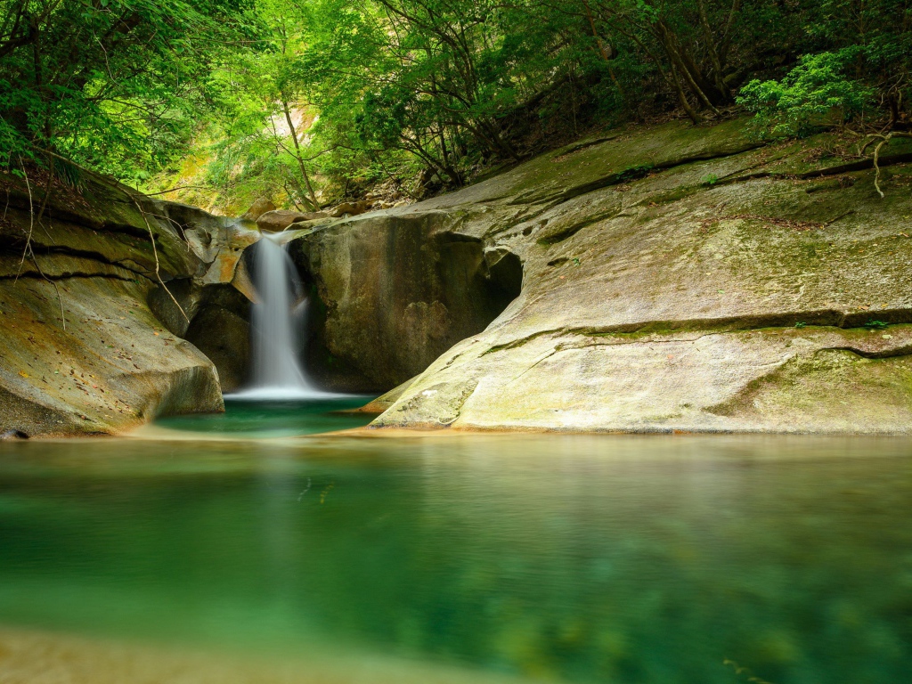 Водопад стекает по скале в озеро в лесу