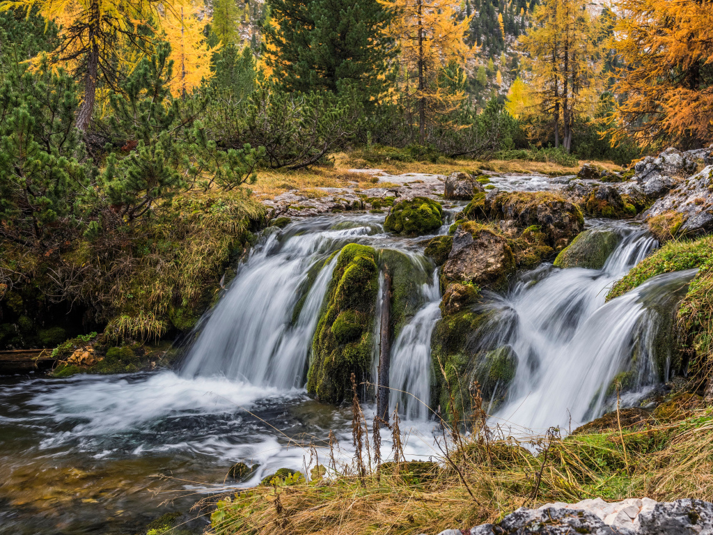 Быстрая вода водопада стекает по камням в осеннем лесу