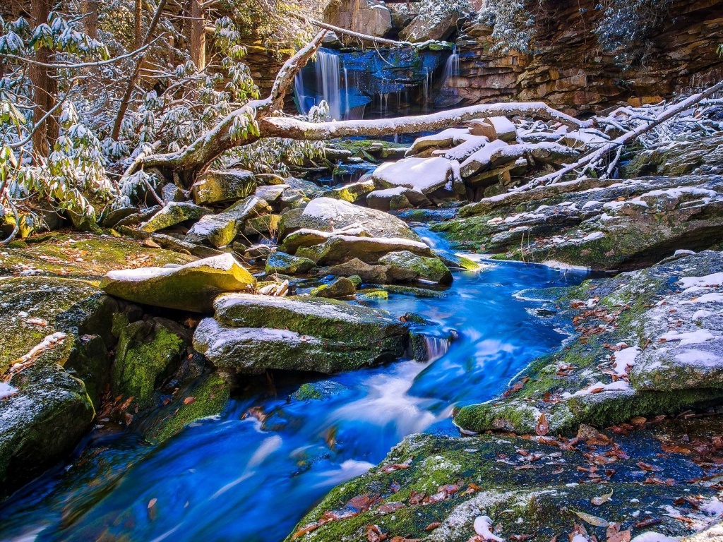 Первый снег покрыл камни у лесного ручья