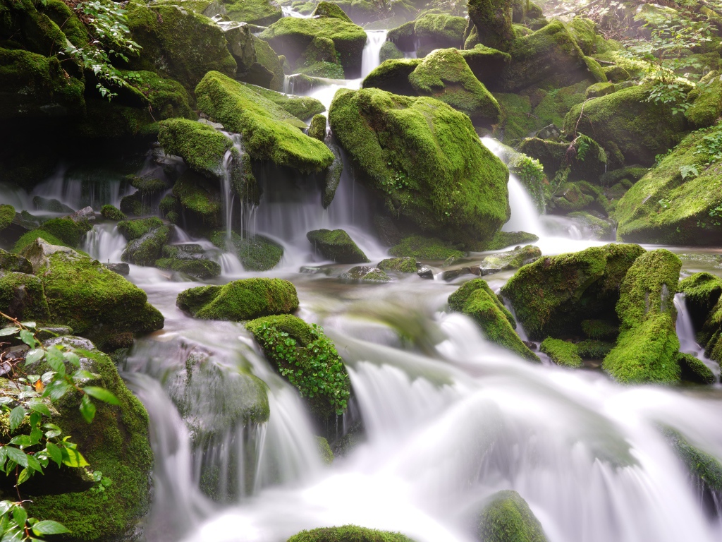 Быстрая вода водопада стекает по большим покрытым мхом камням
