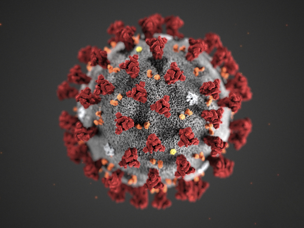Коронавирус COVID-19 на сером фоне