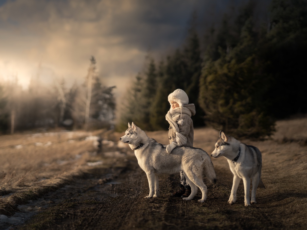 Маленькая девочка с собаками хаски в лесу