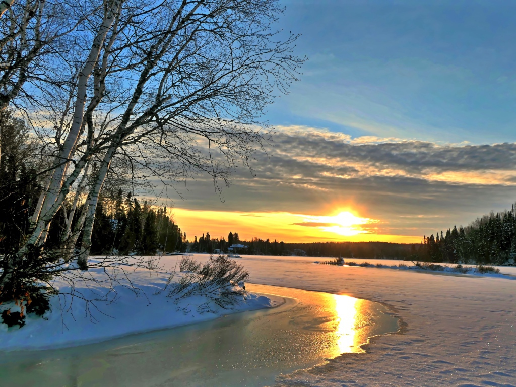 Березы на берегу покрытой льдом реки на закате солнца зимой