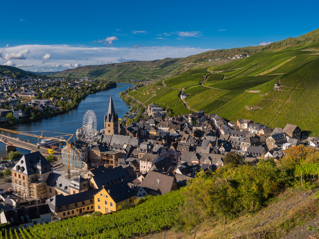 Вид город, реку и виноградник. Германия 