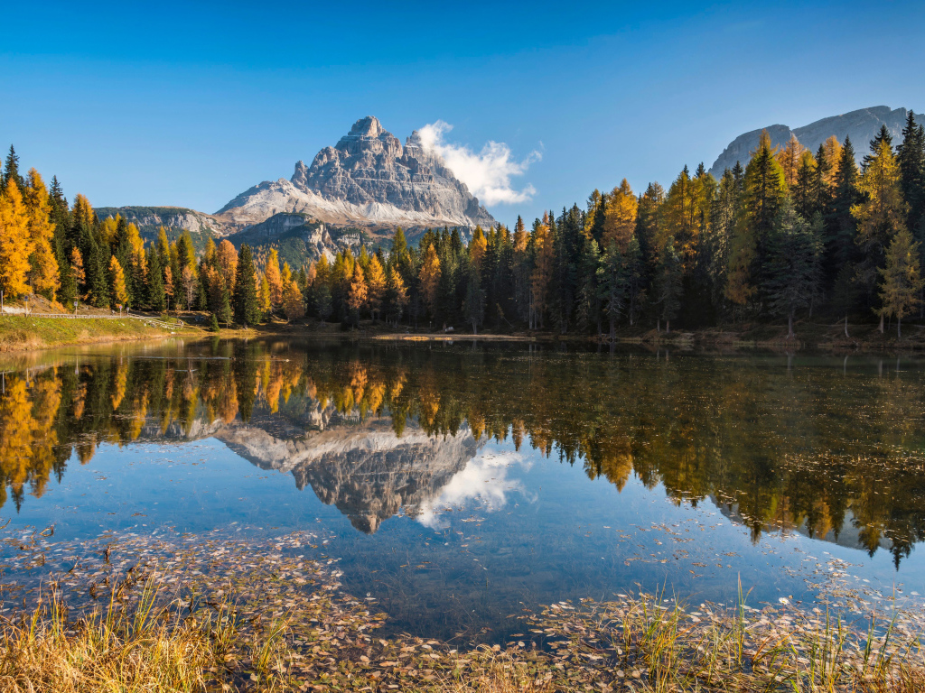 Гора и лес отражаются в воде озера, Италия