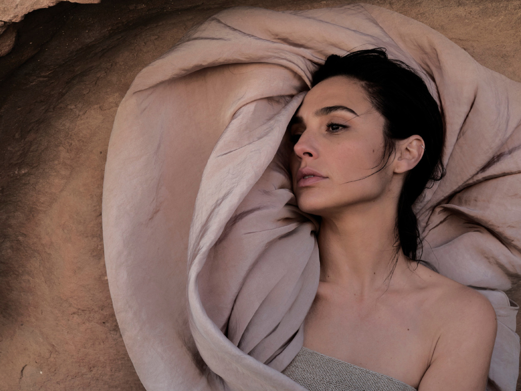 Красивая брюнетка, актриса Галь Гадот