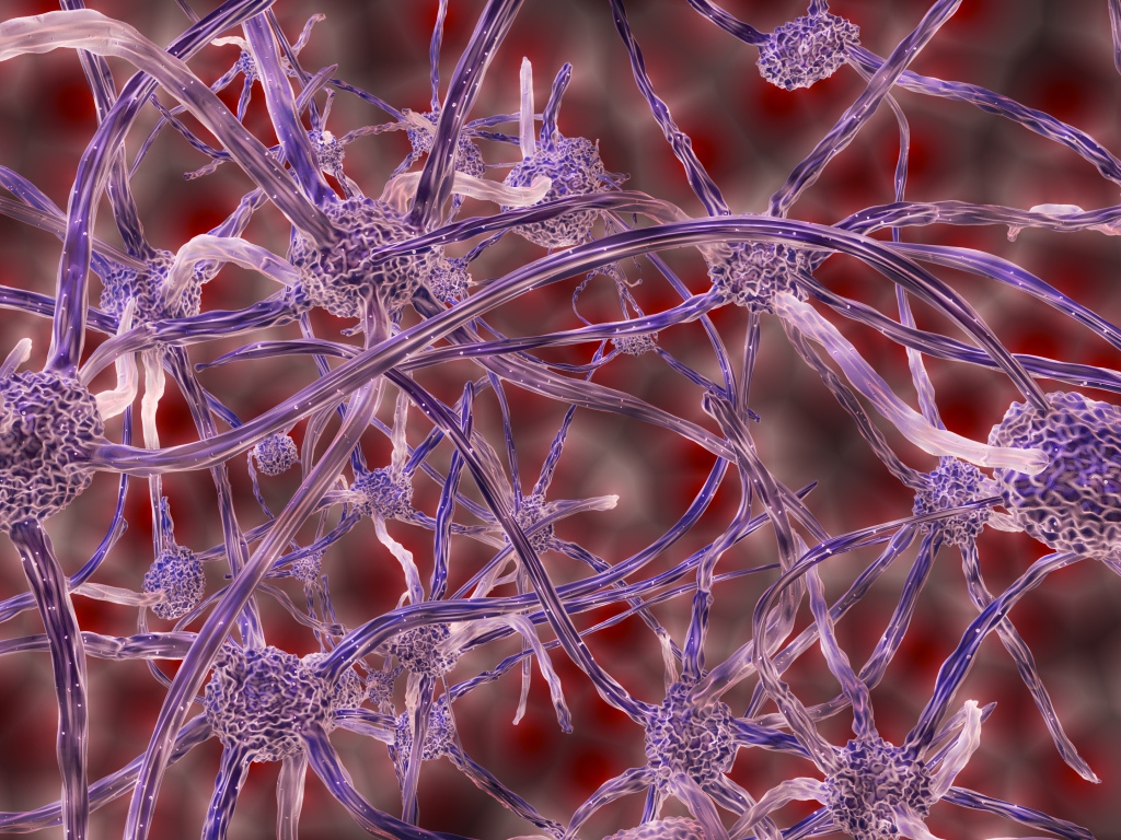 Нервные клетки под микроскопом 3д графика