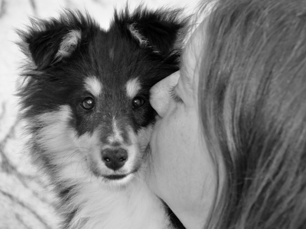 Девушка целует милого щенка 