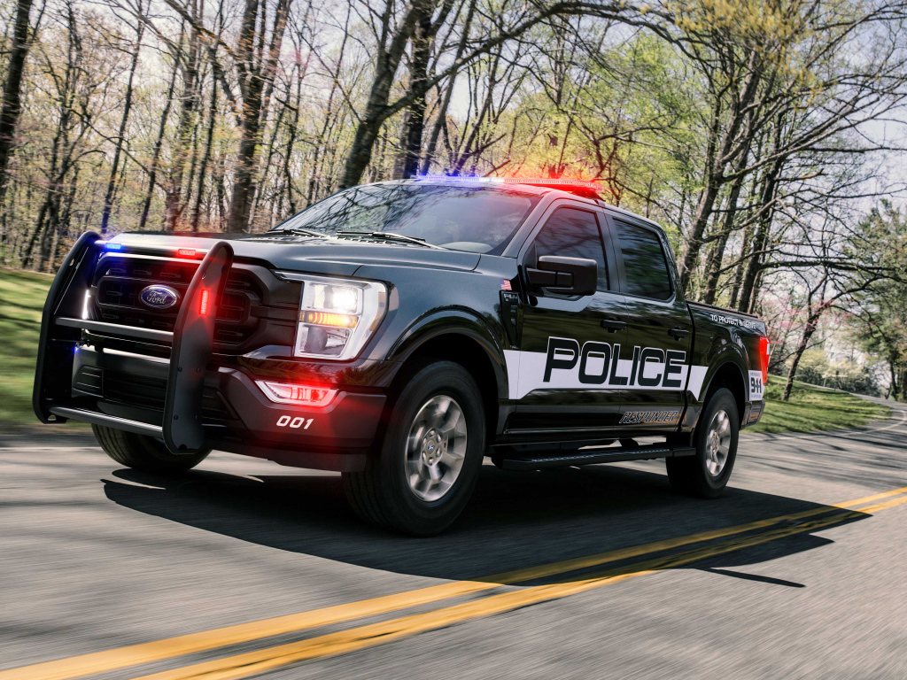 Служебный пикап Ford F-150 , 2021 года на дороге
