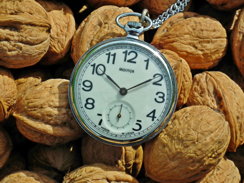 Карманные часы с грецкими орехами 