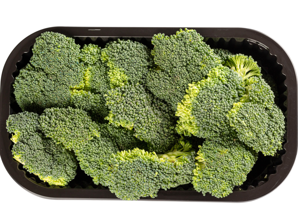 Зеленые брокколи в черной форме на белом фоне 