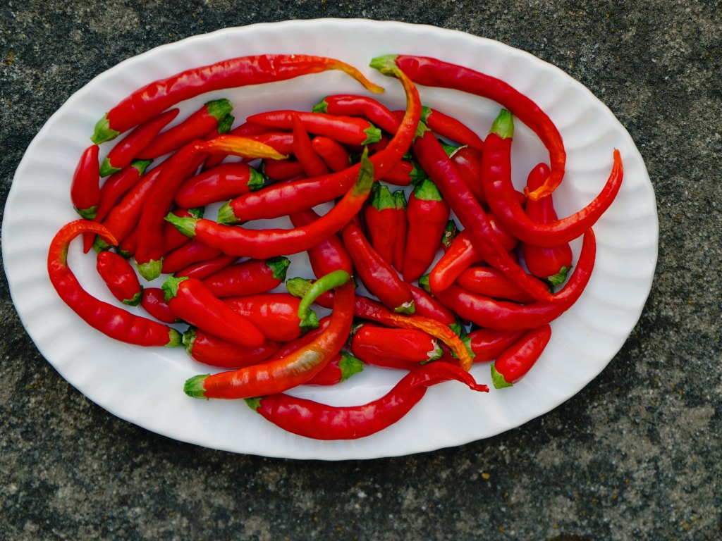 Острый красный перец чили на большой белой тарелке
