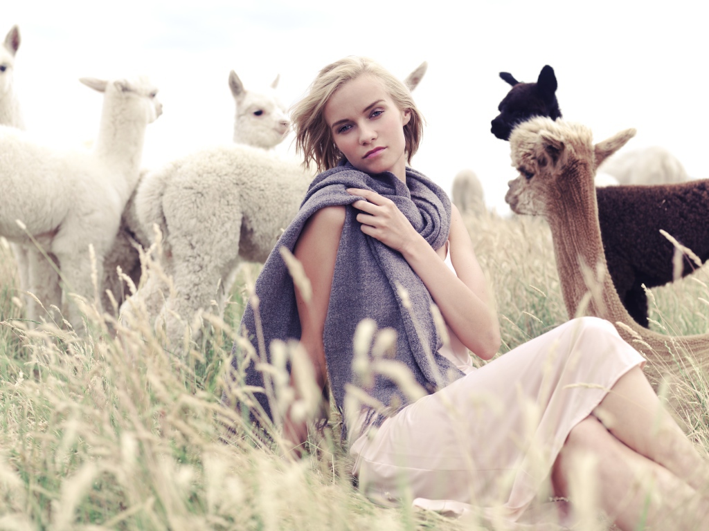 Девушка с детенышами альпаки на поле