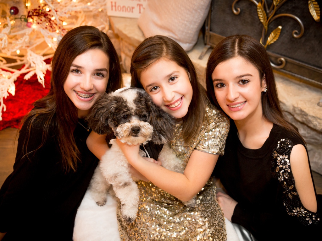 Три улыбающихся девушки с собакой на новый год