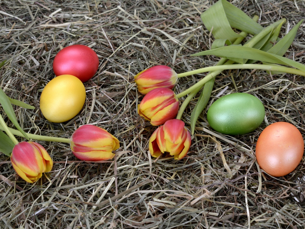 Крашеные яйца с тюльпанами на сене на праздник Пасха 2021