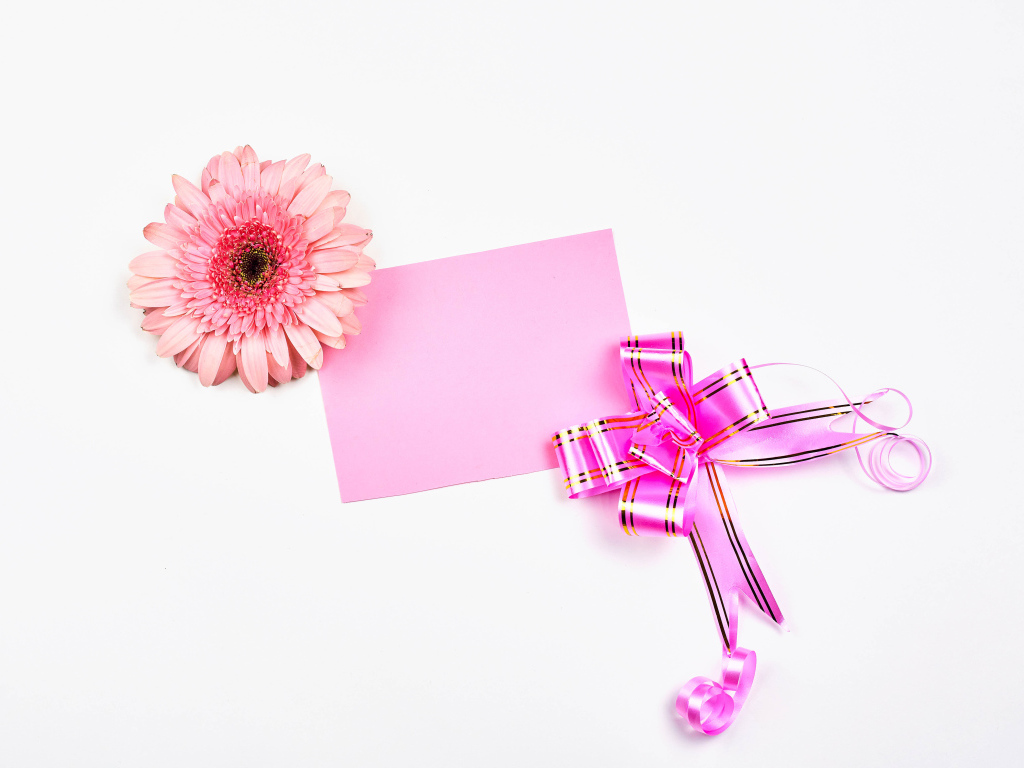 Лист, цветок герберы и бант шаблон для открытки на 8 марта