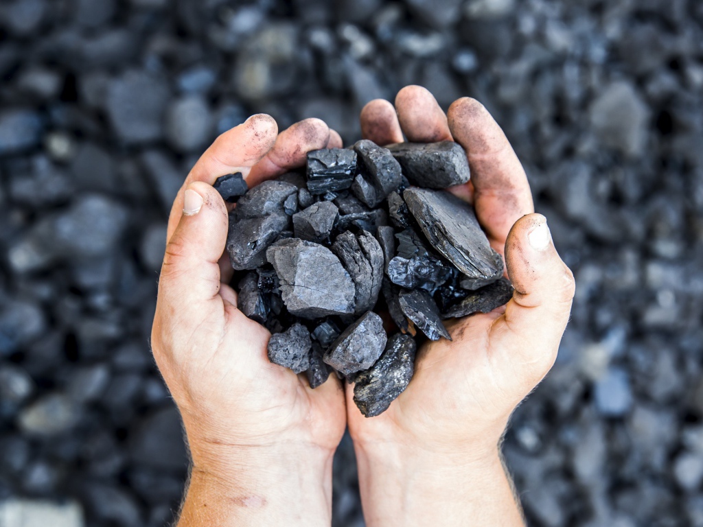 Каменный уголь в  руках у мужчины