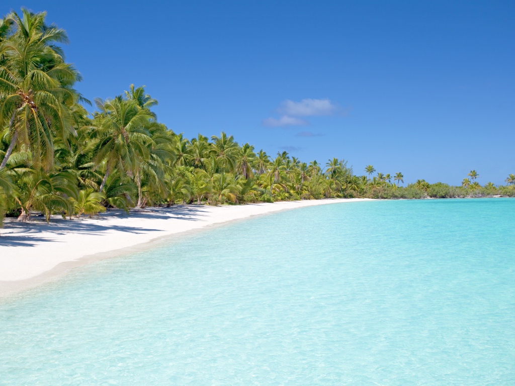 Чистый тропический пляж с голубой водой 
