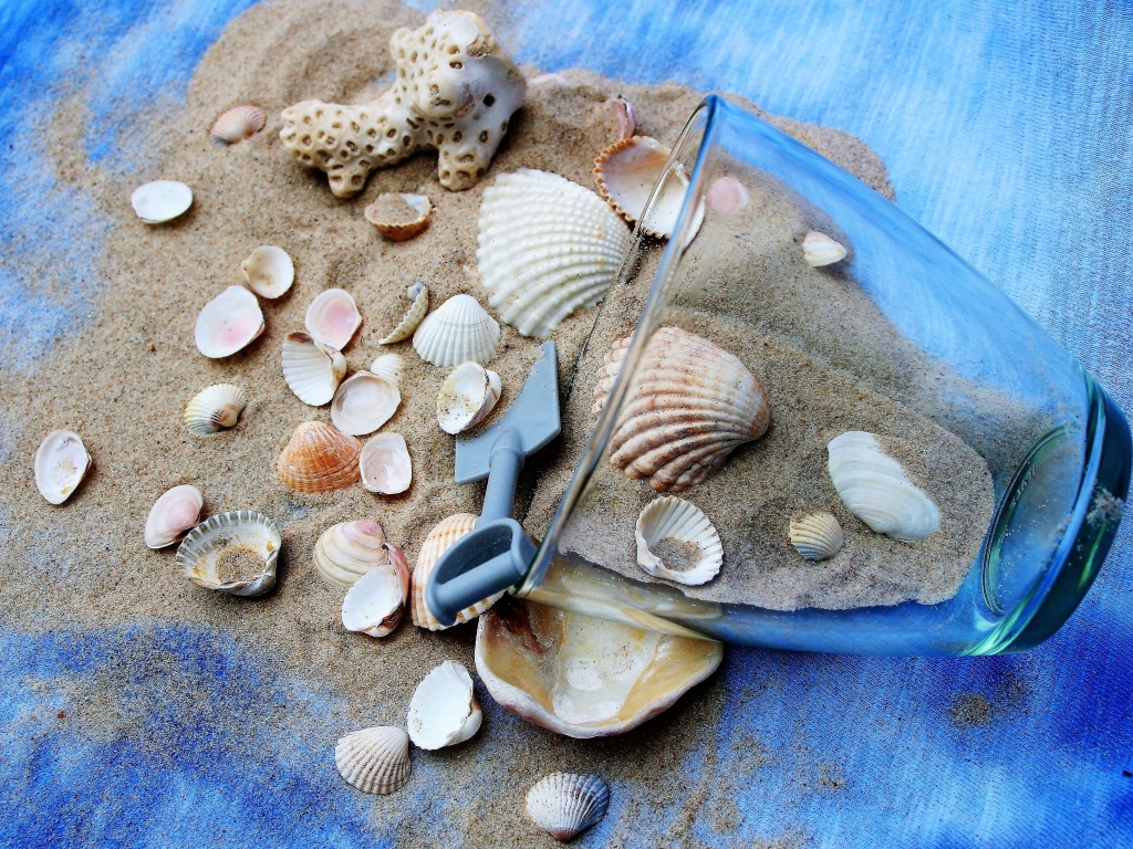 Морские ракушки и чашка с песком на пляже 