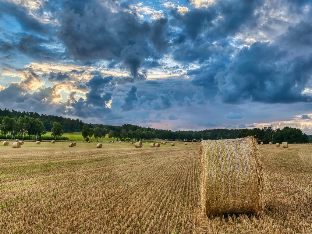 Сноп сена на поле под красивым грозовым небом 