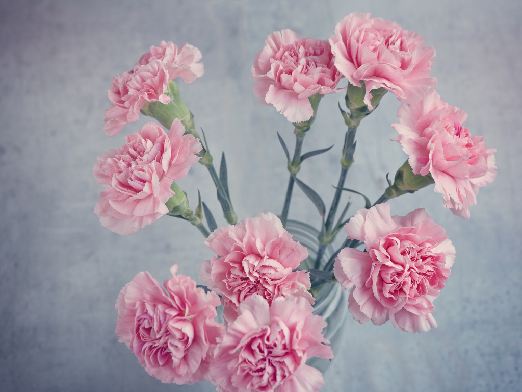 Букет розовых гвоздик в вазе на столе