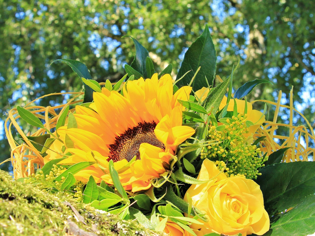 Букет цветов подсолнуха и желтой розы