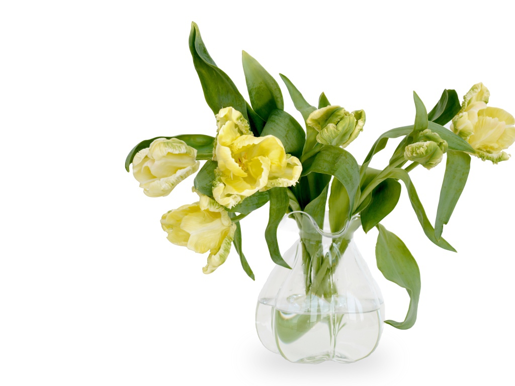 Букет необычных желтых тюльпанов в стеклянной вазе