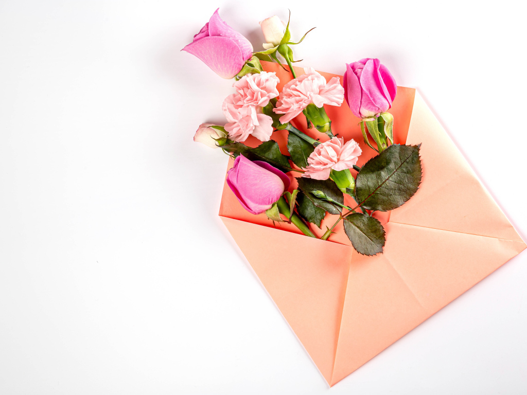Розовый конверт с цветами  розы и гвоздики на белом фоне