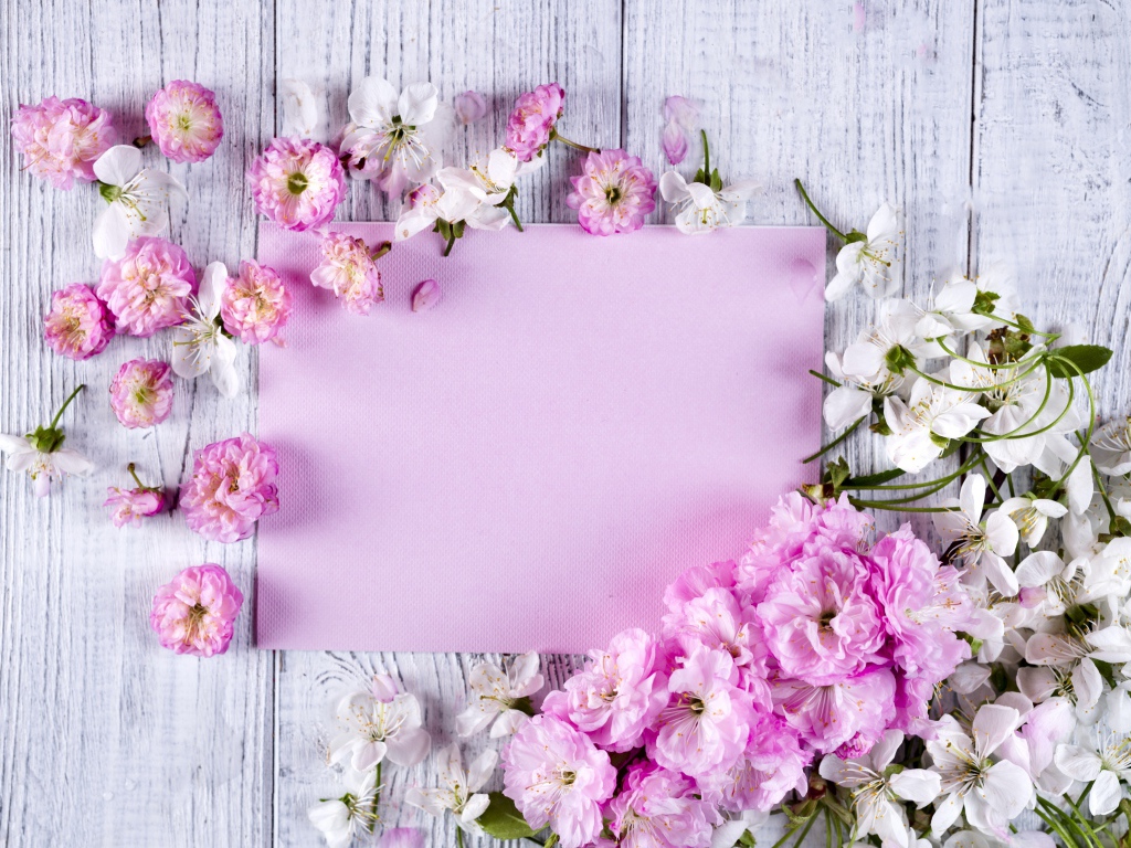 Розовые цветы луизеания и цветы вишни на столе с листом