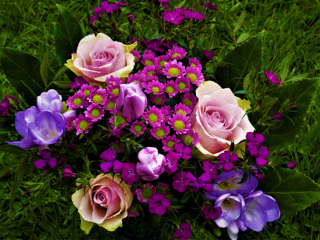 Розы, крокусы и хризантемы на зеленой траве