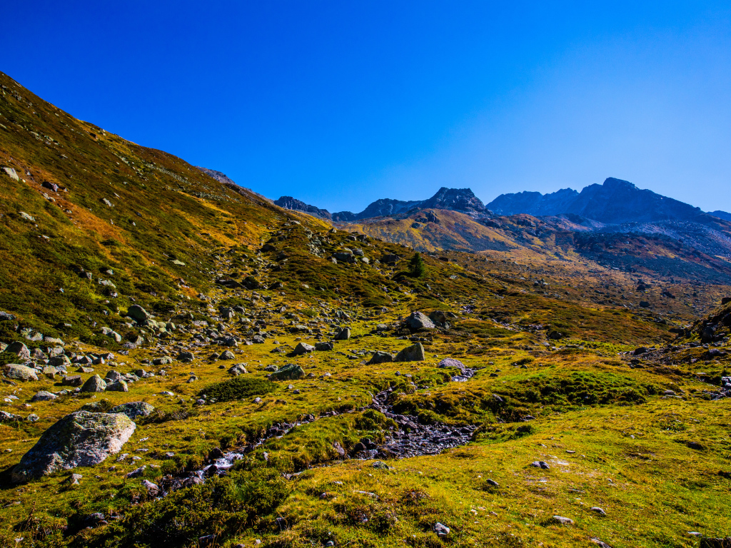 Зеленая трава на склоне горы под голубым небом 