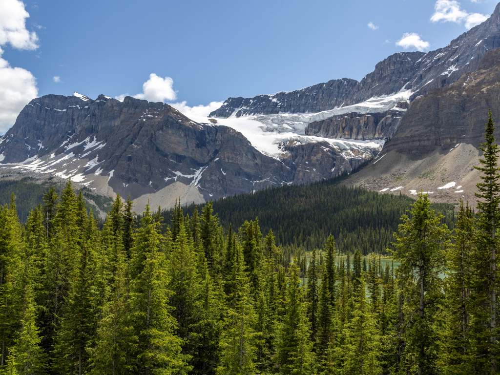 Высокие горы под голубым небом у хвойного леса 