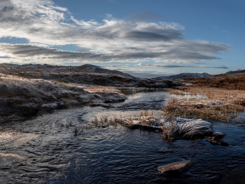 Покрытая инеем трава на берегу реки в лучах солнца
