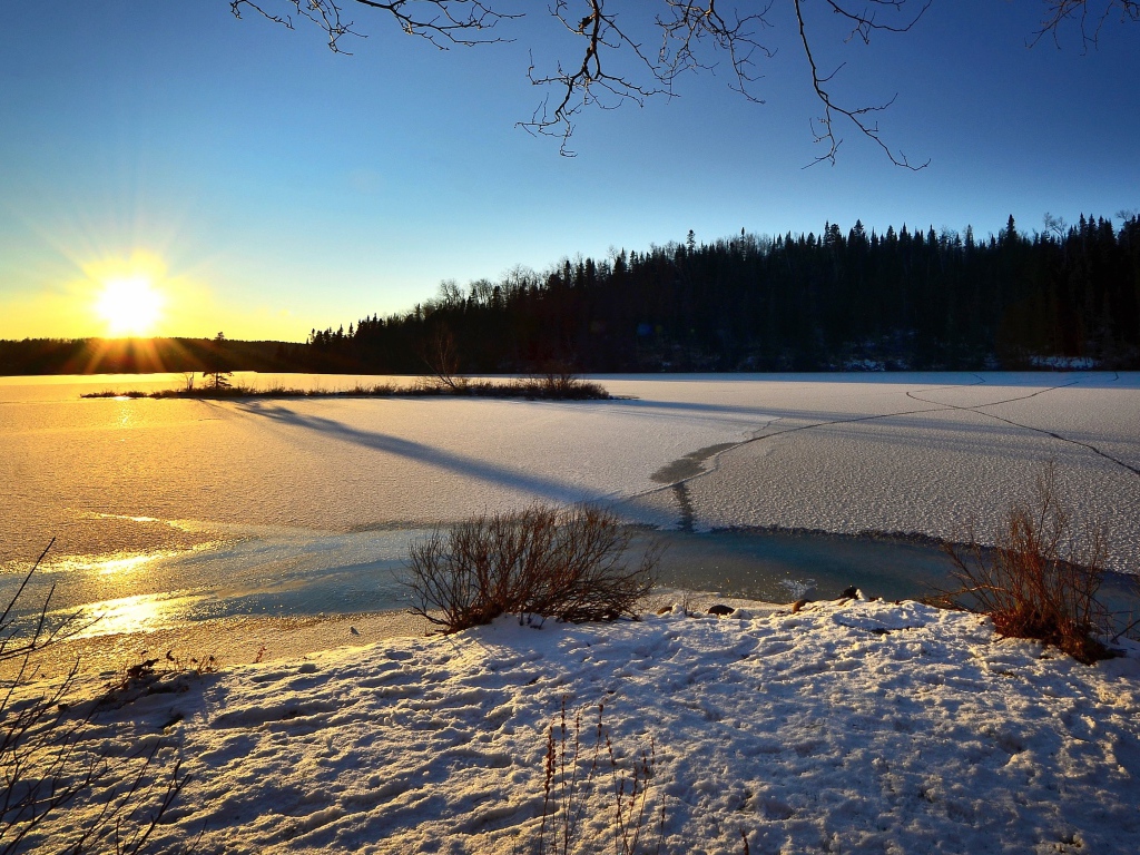 Покрытая льдом река в лучах солнца у леса 