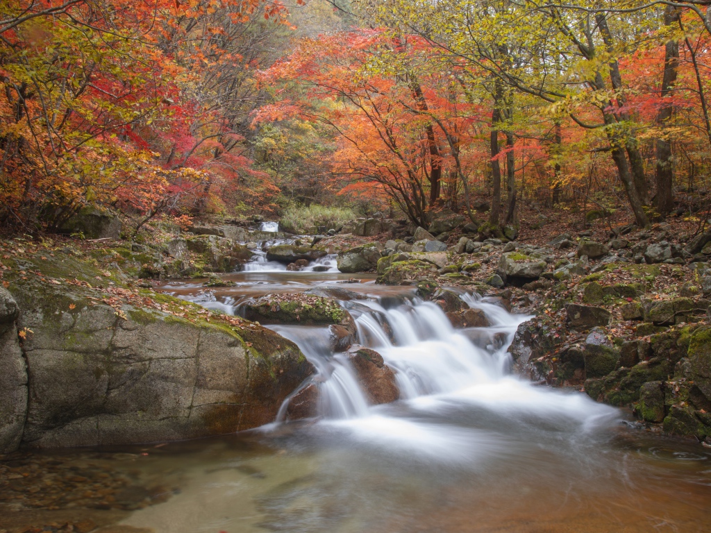 The fast water of the river flows down the stones in the autumn forest