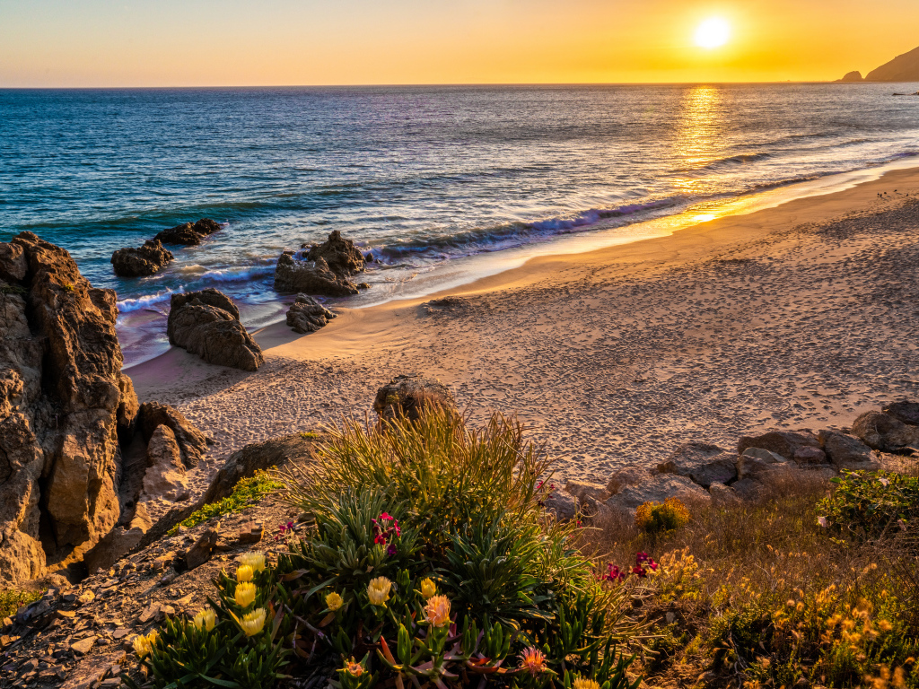 Теплый желтый песок на  морском пляже на закате 
