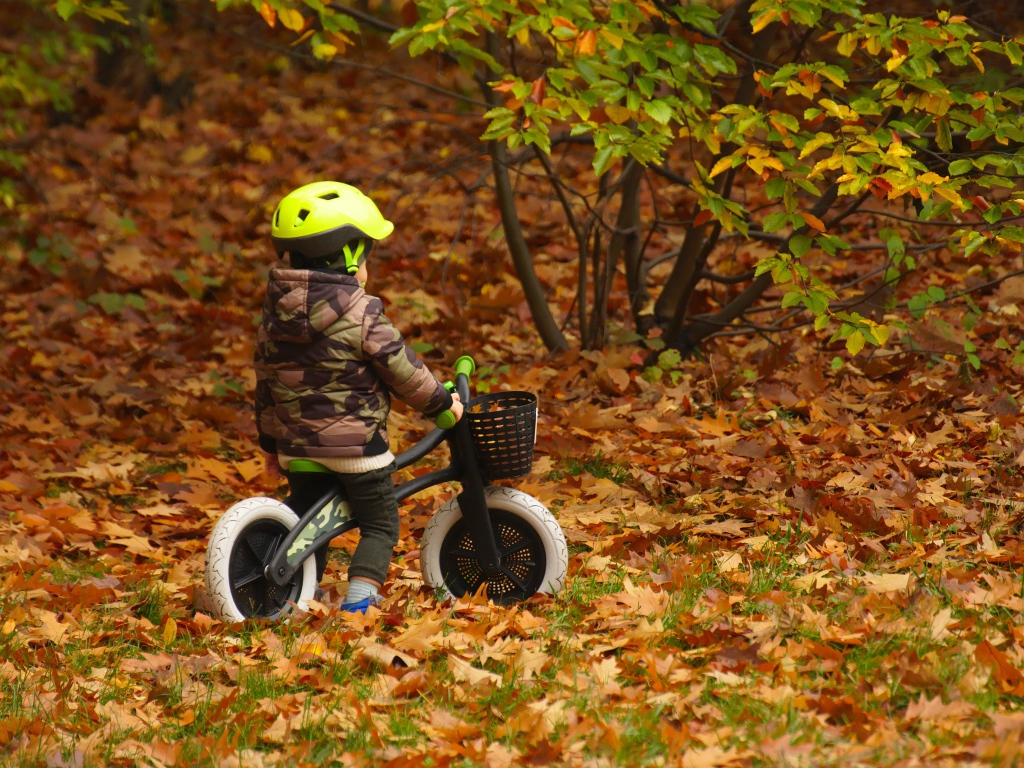 Маленький мальчик на велосипеде в осеннем парке 